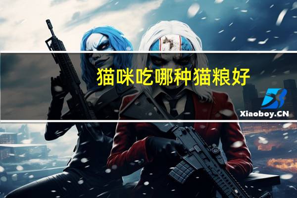 猫咪吃哪种猫粮好