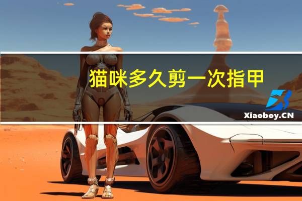 猫咪多久剪一次指甲