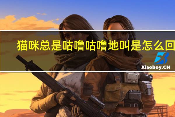 猫咪总是咕噜咕噜地叫是怎么回事