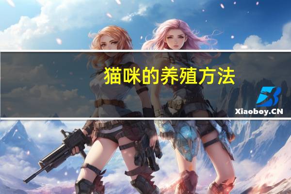 猫咪的养殖方法