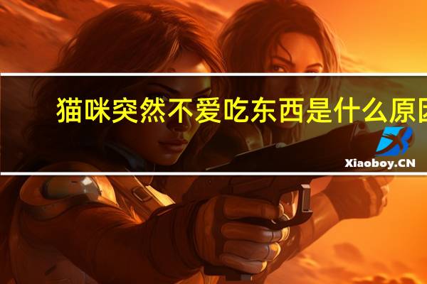 猫咪突然不爱吃东西是什么原因