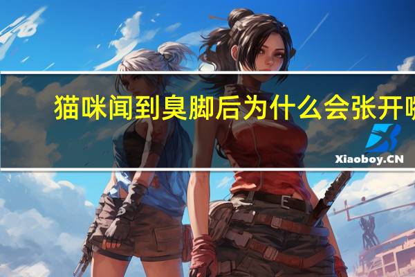 猫咪闻到臭脚后为什么会张开嘴