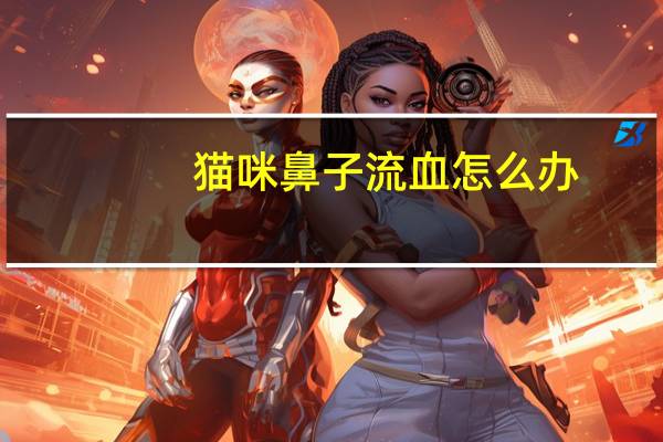 猫咪鼻子流血怎么办