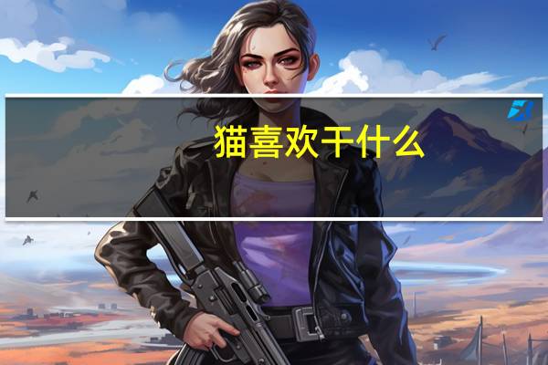 猫喜欢干什么