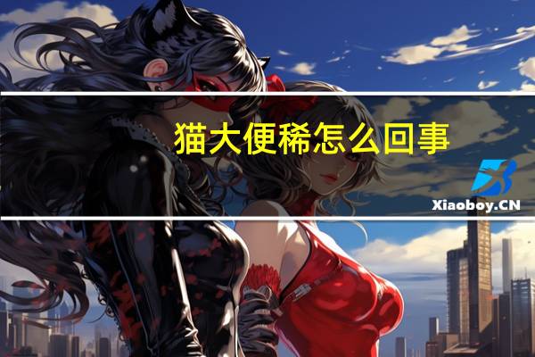 猫大便稀怎么回事