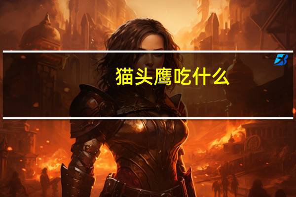 猫头鹰吃什么