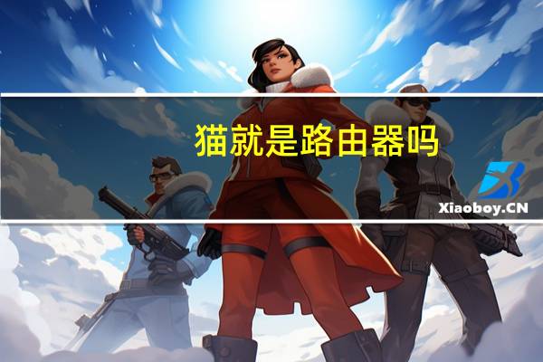 猫就是路由器吗