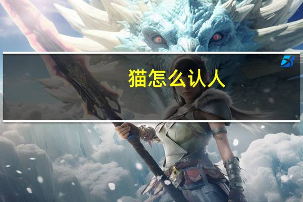猫怎么认人