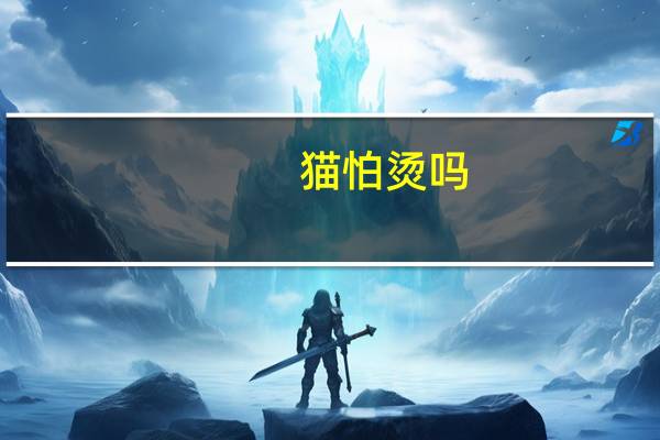 猫怕烫吗