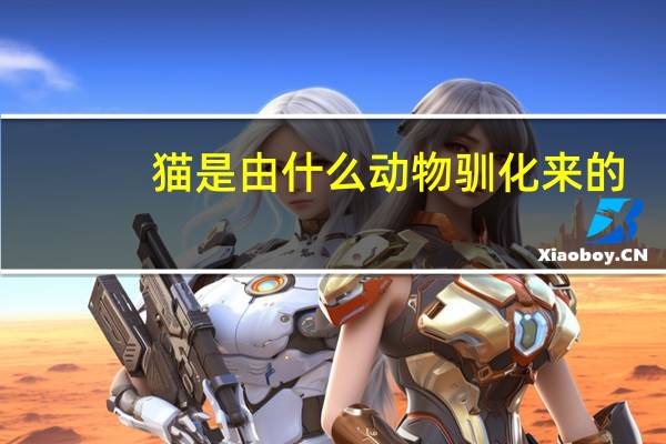 猫是由什么动物驯化来的