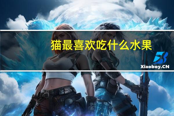猫最喜欢吃什么水果