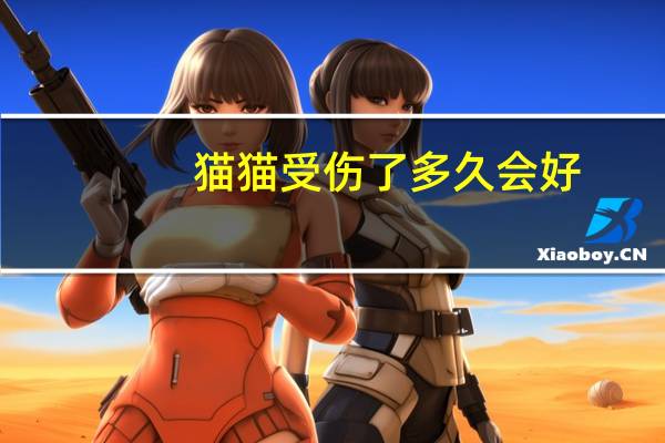 猫猫受伤了多久会好