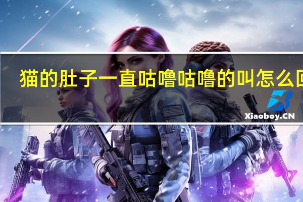 猫的肚子一直咕噜咕噜的叫怎么回事