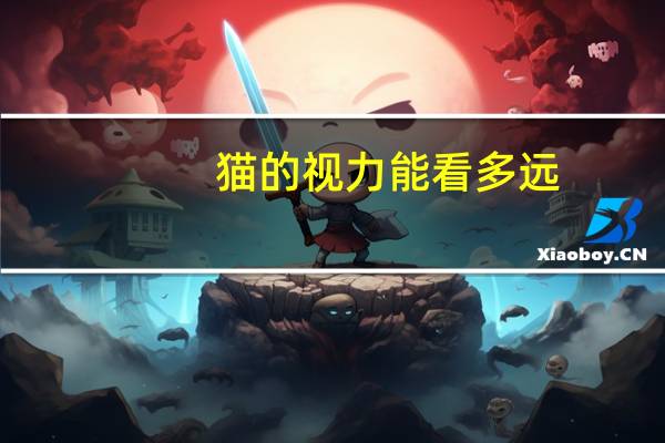 猫的视力能看多远