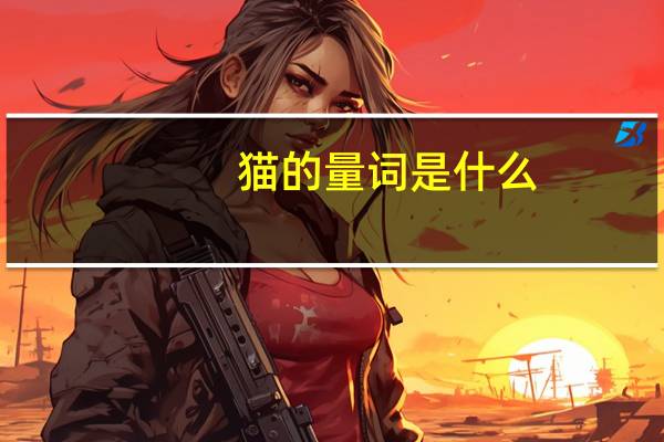 猫的量词是什么