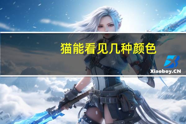 猫能看见几种颜色
