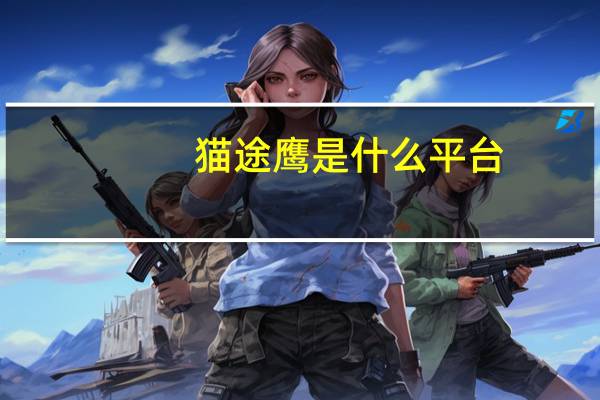 猫途鹰是什么平台
