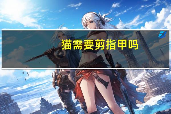 猫需要剪指甲吗
