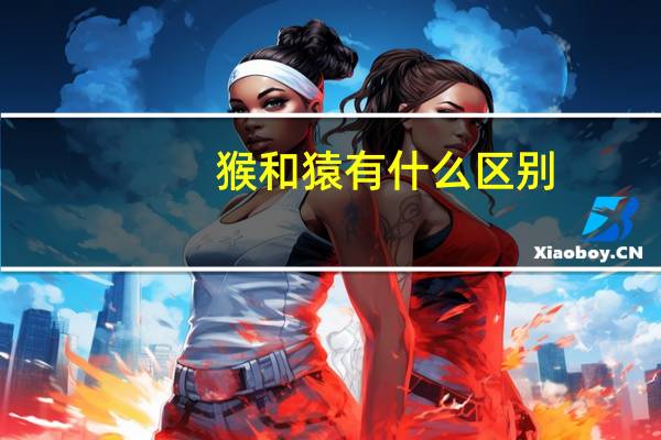 猴和猿有什么区别