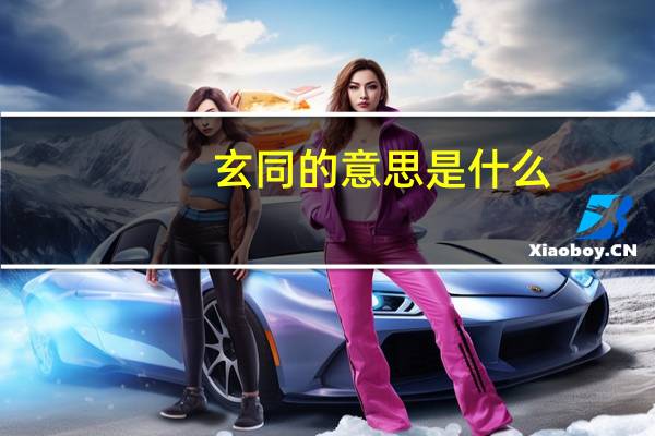 玄同的意思是什么