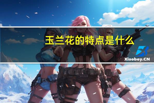 玉兰花的特点是什么