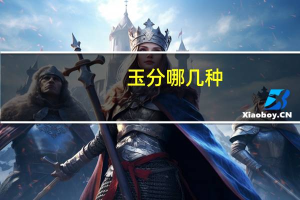 玉分哪几种