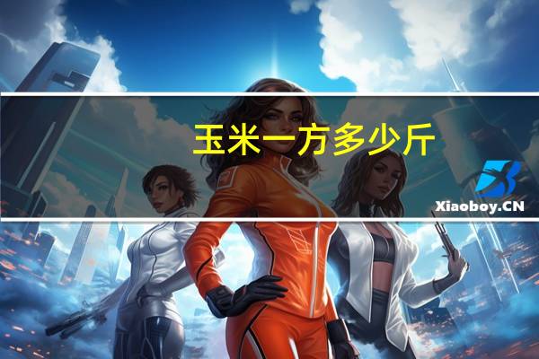玉米一方多少斤