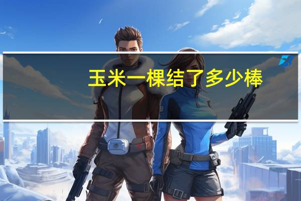 玉米一棵结了多少棒