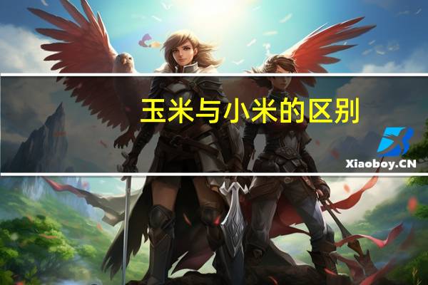 玉米与小米的区别