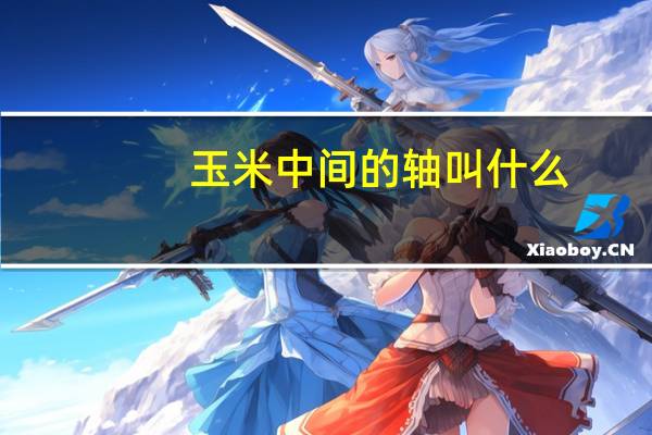 玉米中间的轴叫什么