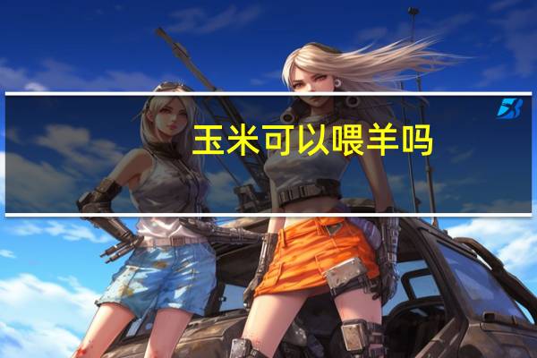 玉米可以喂羊吗