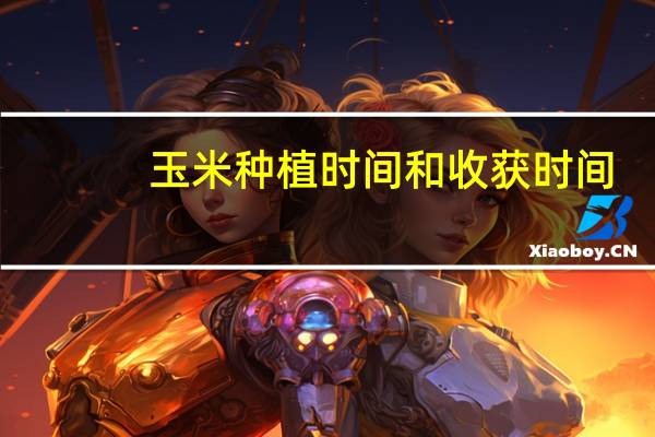 玉米种植时间和收获时间