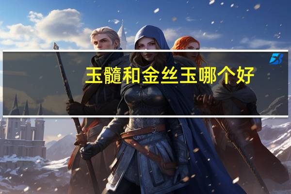 玉髓和金丝玉哪个好