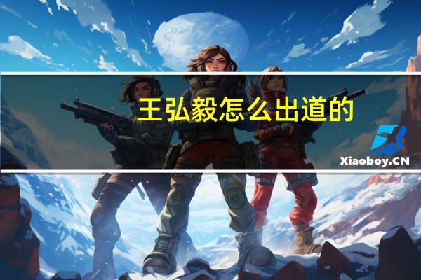 王弘毅怎么出道的