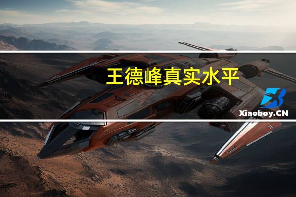 王德峰真实水平