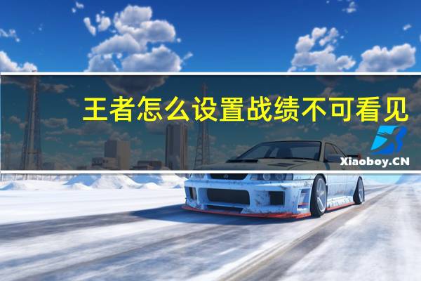 王者怎么设置战绩不可看见