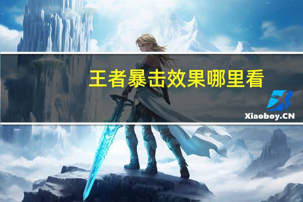 王者暴击效果哪里看