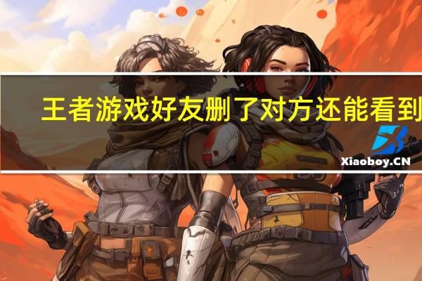 王者游戏好友删了对方还能看到吗