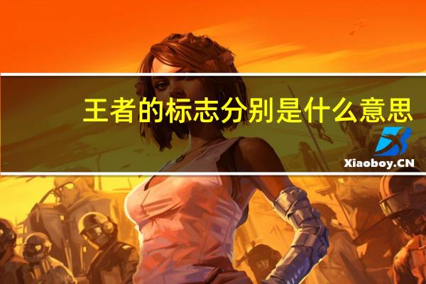 王者的标志分别是什么意思
