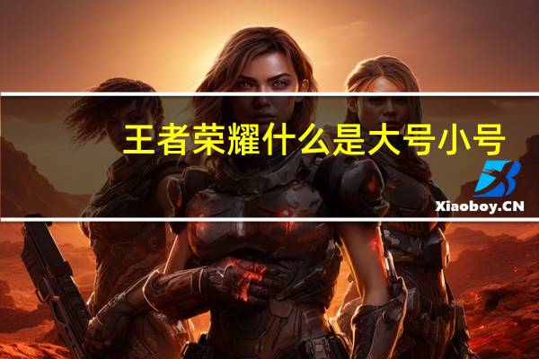 王者荣耀什么是大号小号