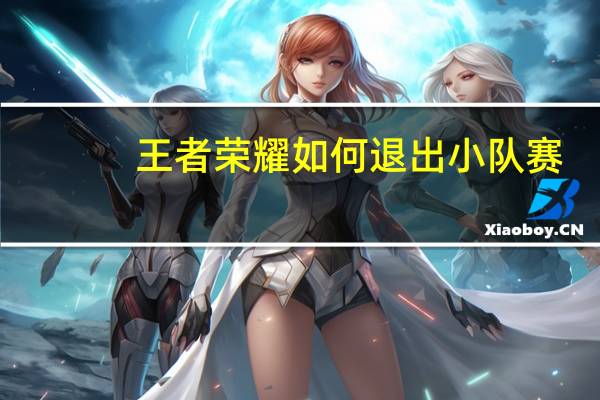 王者荣耀如何退出小队赛