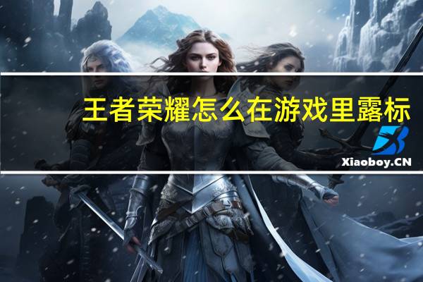 王者荣耀怎么在游戏里露标