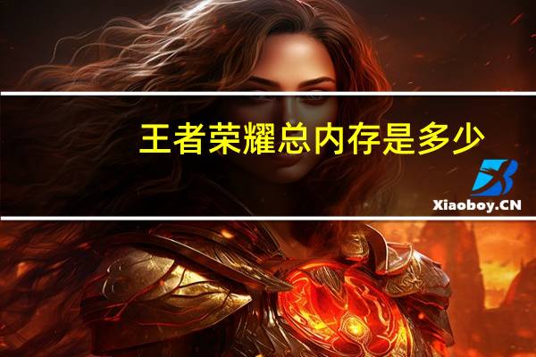 王者荣耀总内存是多少