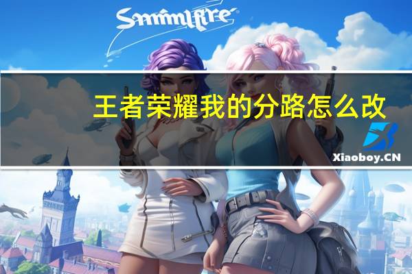 王者荣耀我的分路怎么改