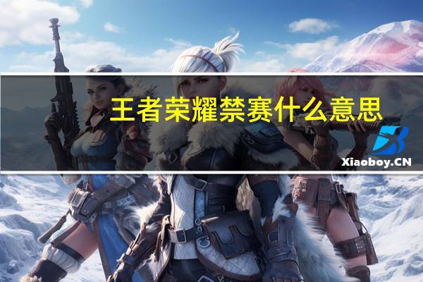 王者荣耀禁赛什么意思