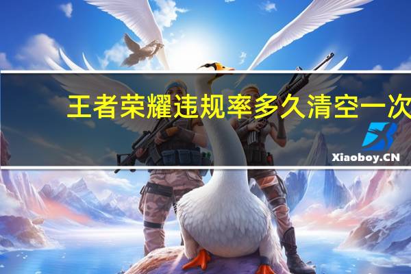 王者荣耀违规率多久清空一次