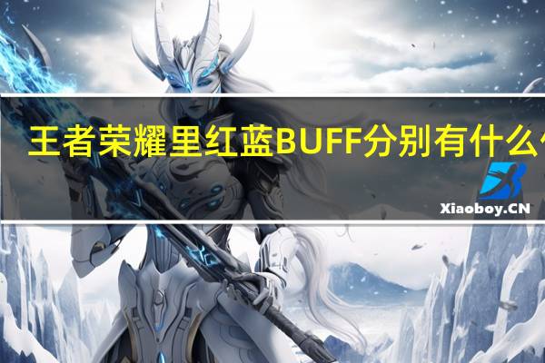 王者荣耀里红蓝BUFF分别有什么作用