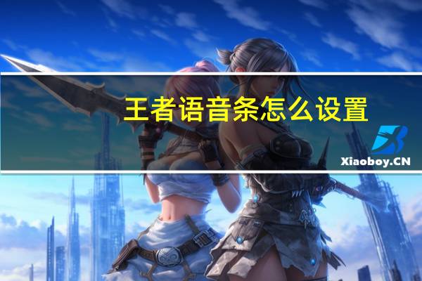 王者语音条怎么设置