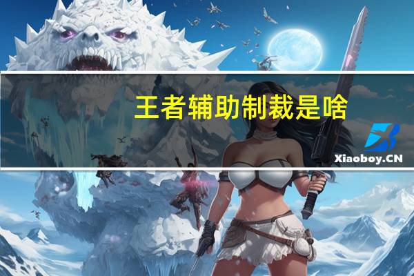 王者辅助制裁是啥