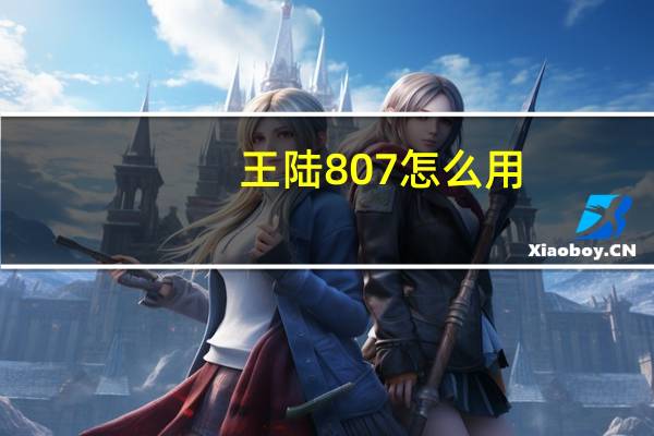 王陆807怎么用